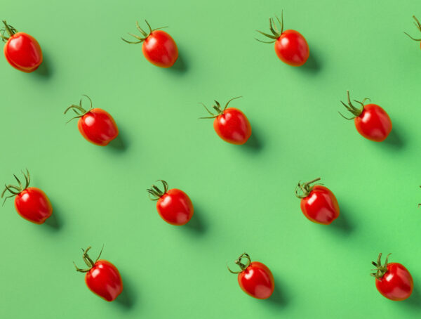 Symbolbild Tomaten Balkonien